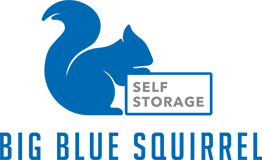 Big Blue Squirrel Logo